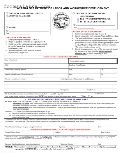 Blank Alaska Work Permit PDF Template